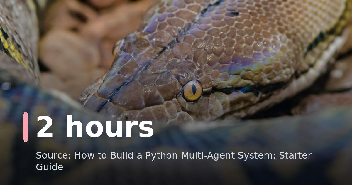 How to Build a Python Multi-Agent System: Starter Guide