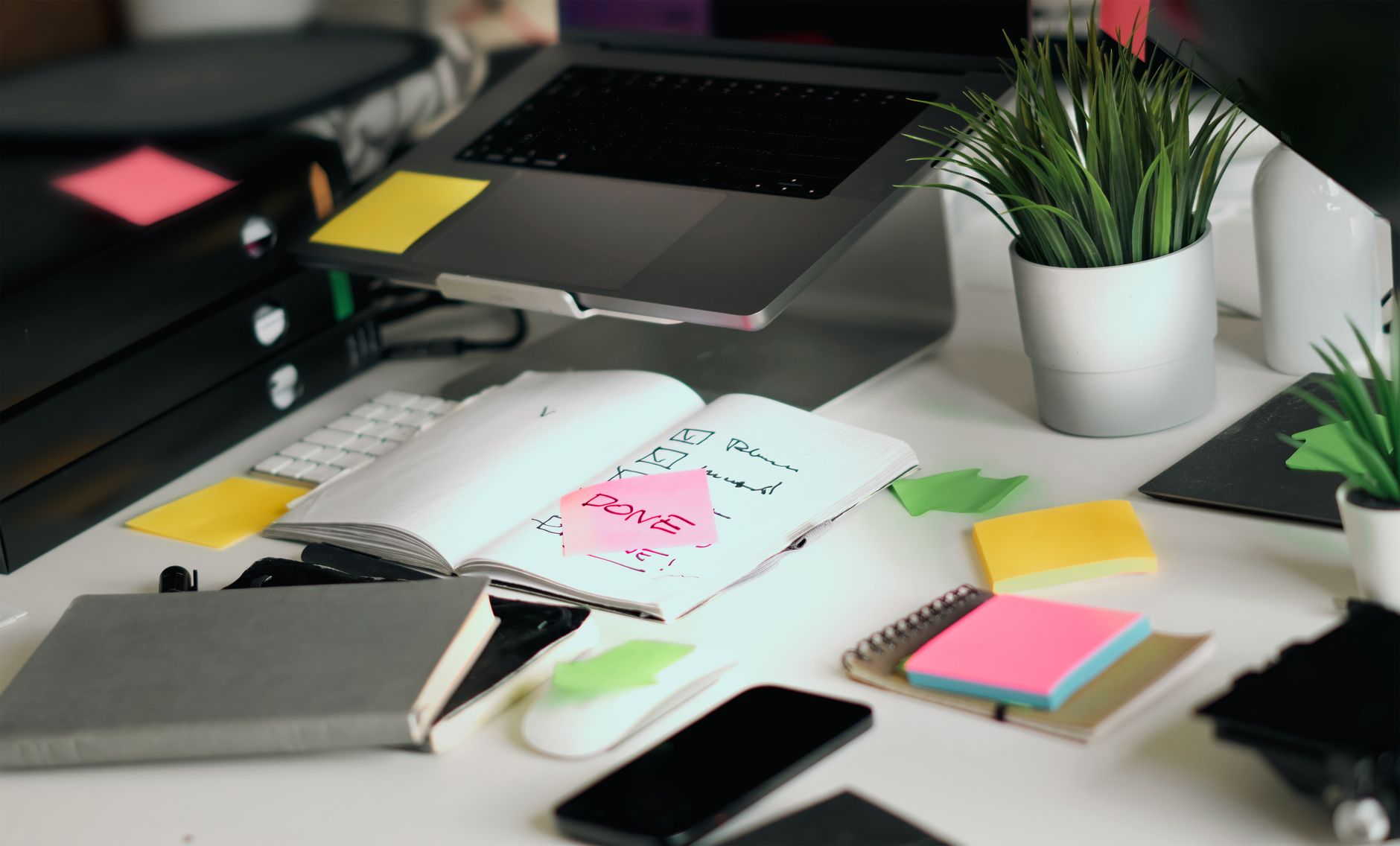 Notion Alternatives for Solopreneurs: Honest Breakdown